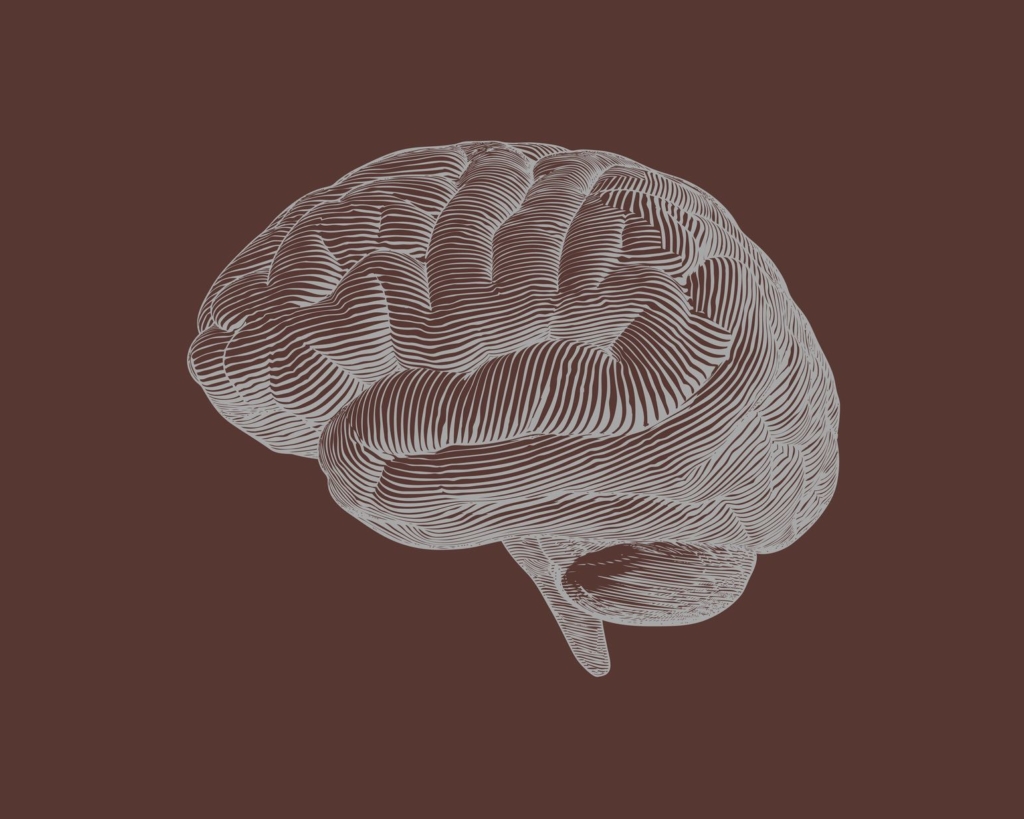 your-brain-on-chocolate