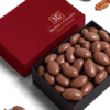 Custom-lid Chocolate-Covered Nuts Box with Merlino branded design