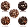 milk chocolate and dark chocolate options for covered almonds, pecans and cashews